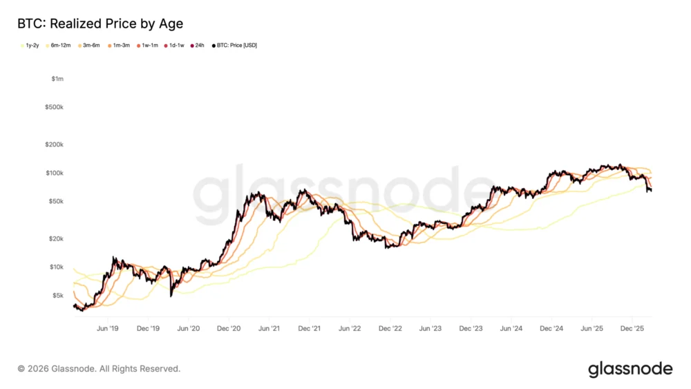 Long-Term Bitcoin Holdings Dramatically Reduce Risk of Loss, Bitwise Research Reveals