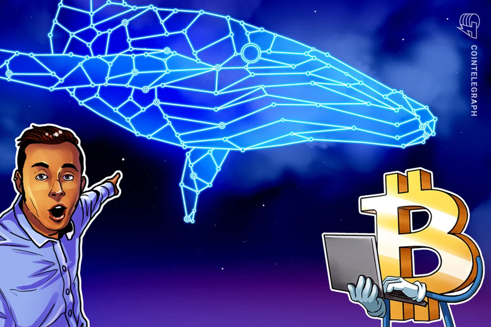 Bitcoin Whales Resume Accumulation as Market Eyes Potential Local Bottom Near Seventy-One Thousand Dollars